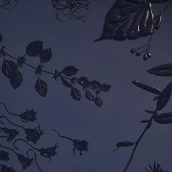 Julekalender 2025  Luksus hudpleje fra Team Dr Joseph | Limited Edition