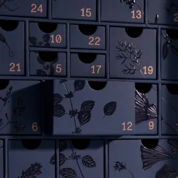 Julekalender 2025  Luksus hudpleje fra Team Dr Joseph | Limited Edition